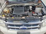 Ford Escape 2010