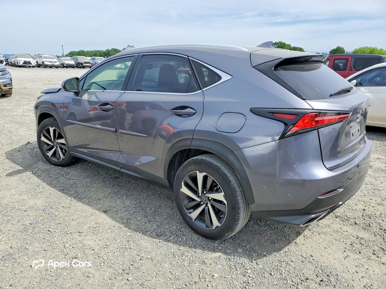 Lexus NX 2020