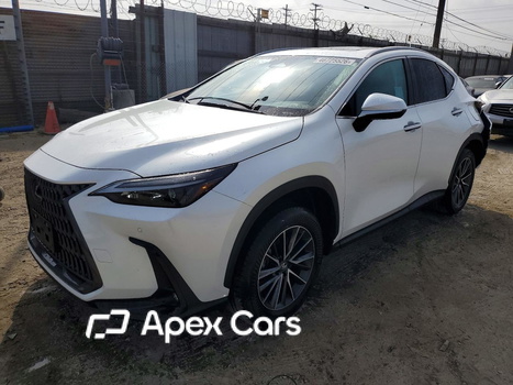 Lexus NX 2025 - Image 1 of 13