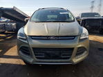 Ford Escape 2013
