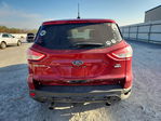 Ford Escape 2016