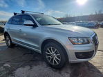 Audi Q5 2011
