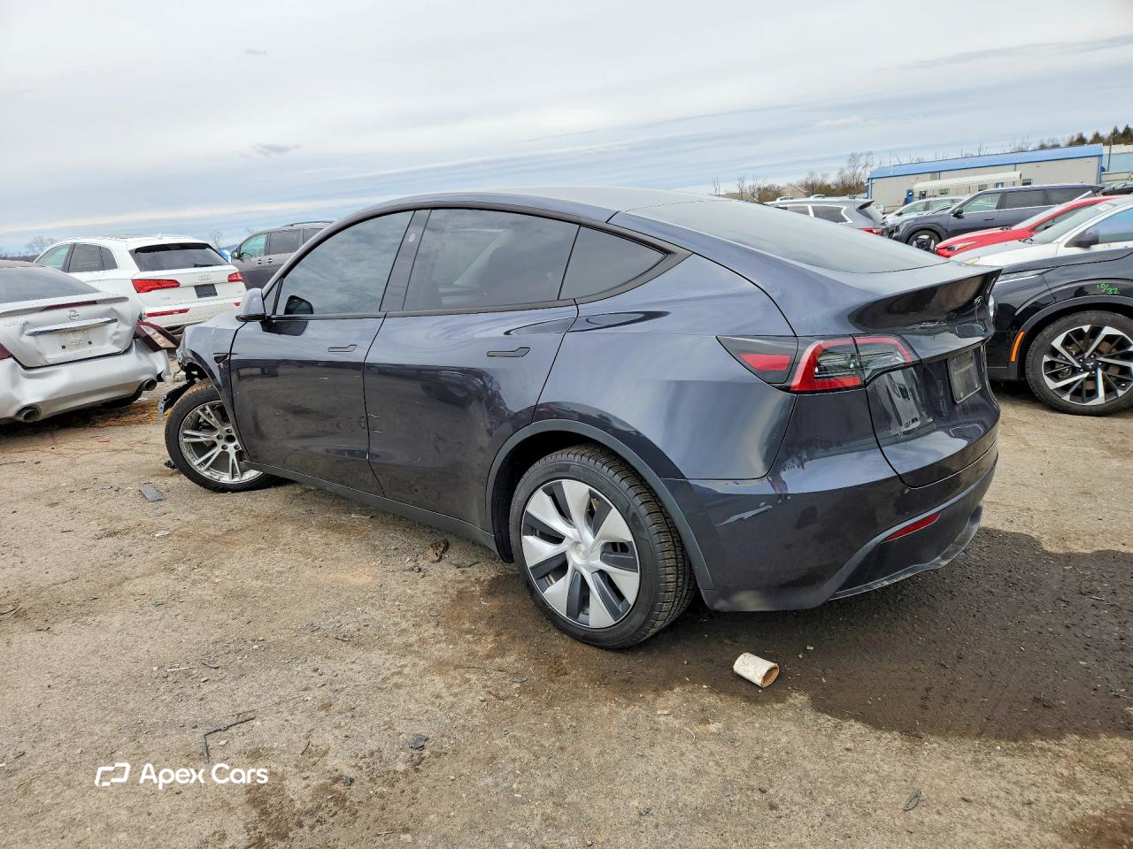 Tesla Model Y 2024