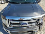 Ford F-150 2013