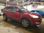 Ford Escape 2013