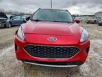 Ford Escape 2021