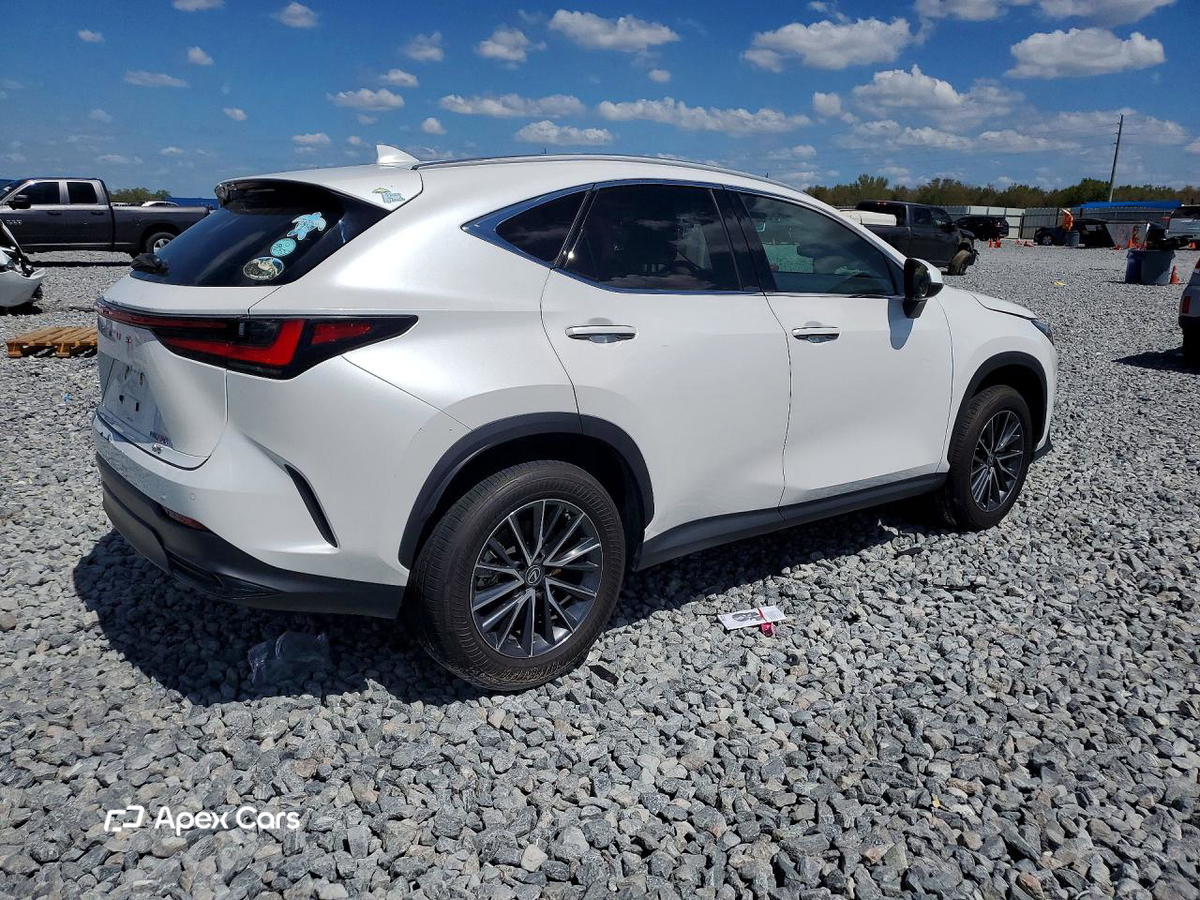Lexus NX 2022