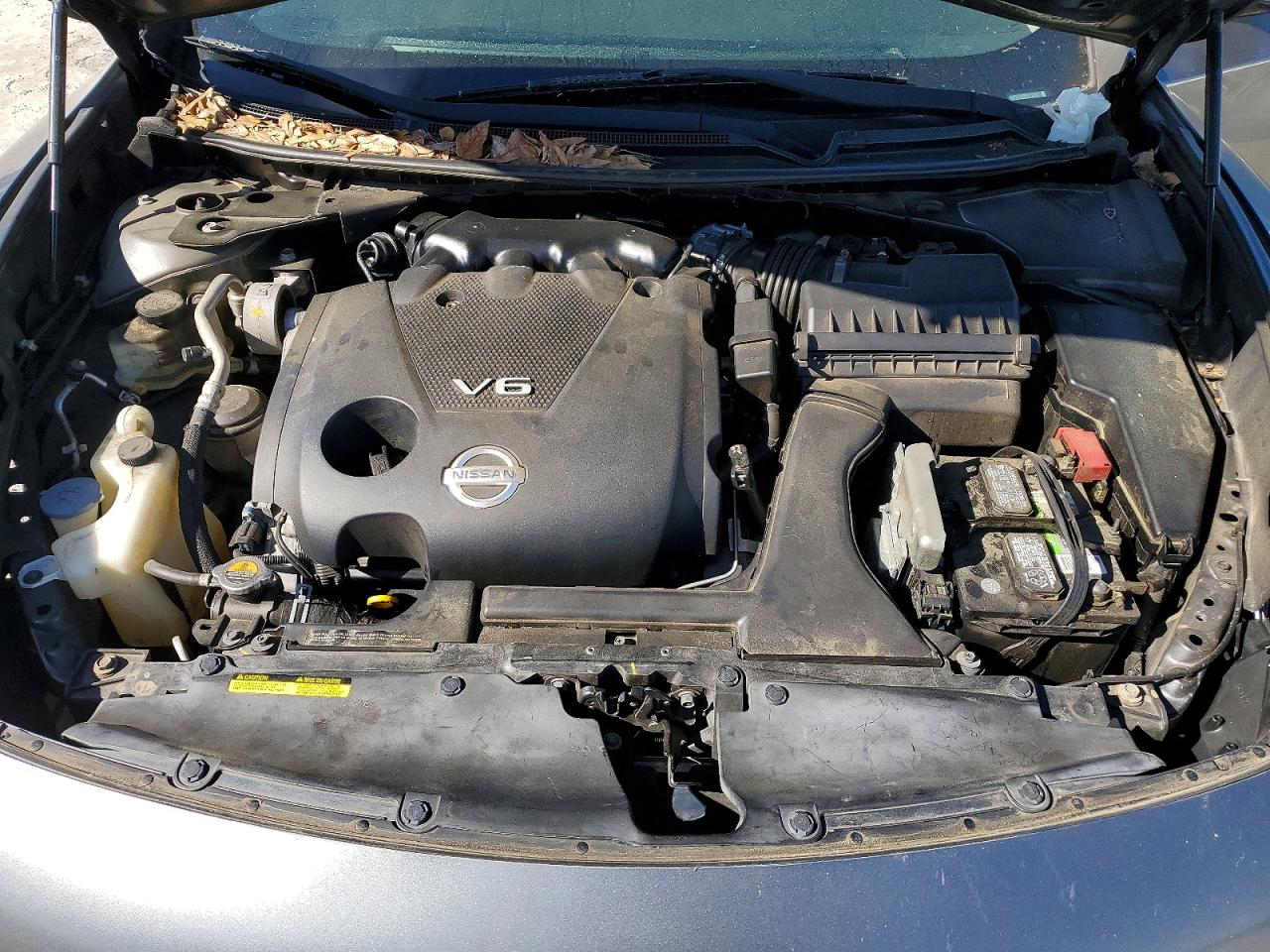 Nissan Maxima 2014