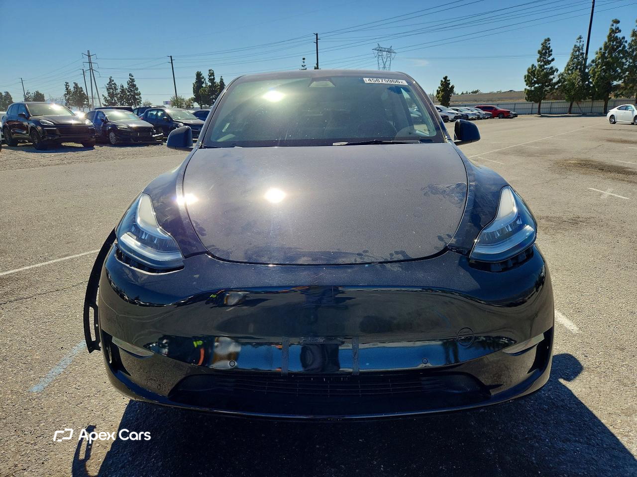 Tesla Model Y 2021