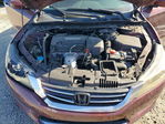 Honda Accord 2013
