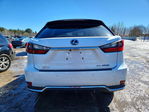 Lexus RX 2020
