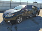Lexus HS 2010