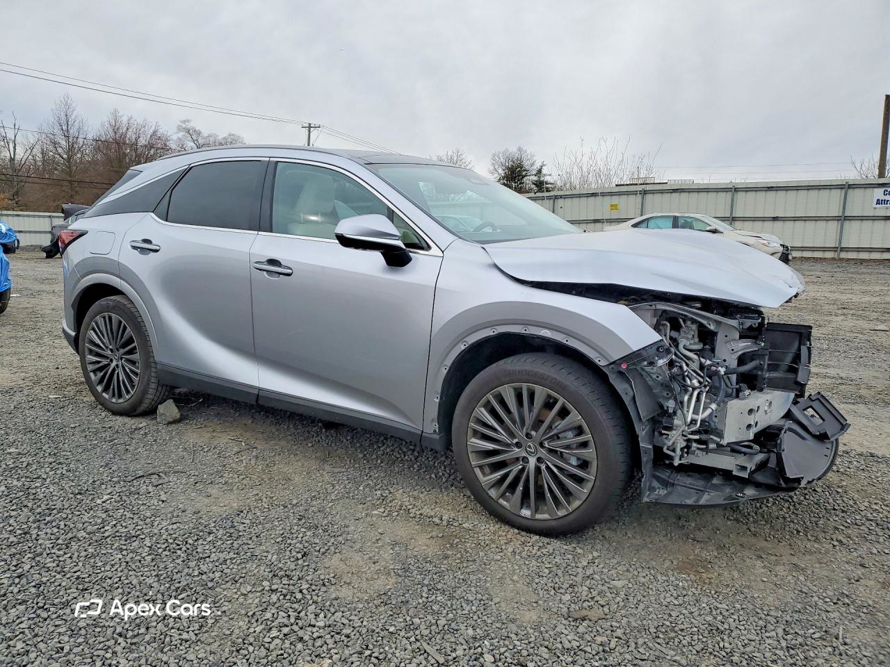 Lexus  2024