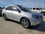 Lexus RX 2015