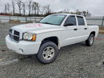 Dodge Dakota 2006