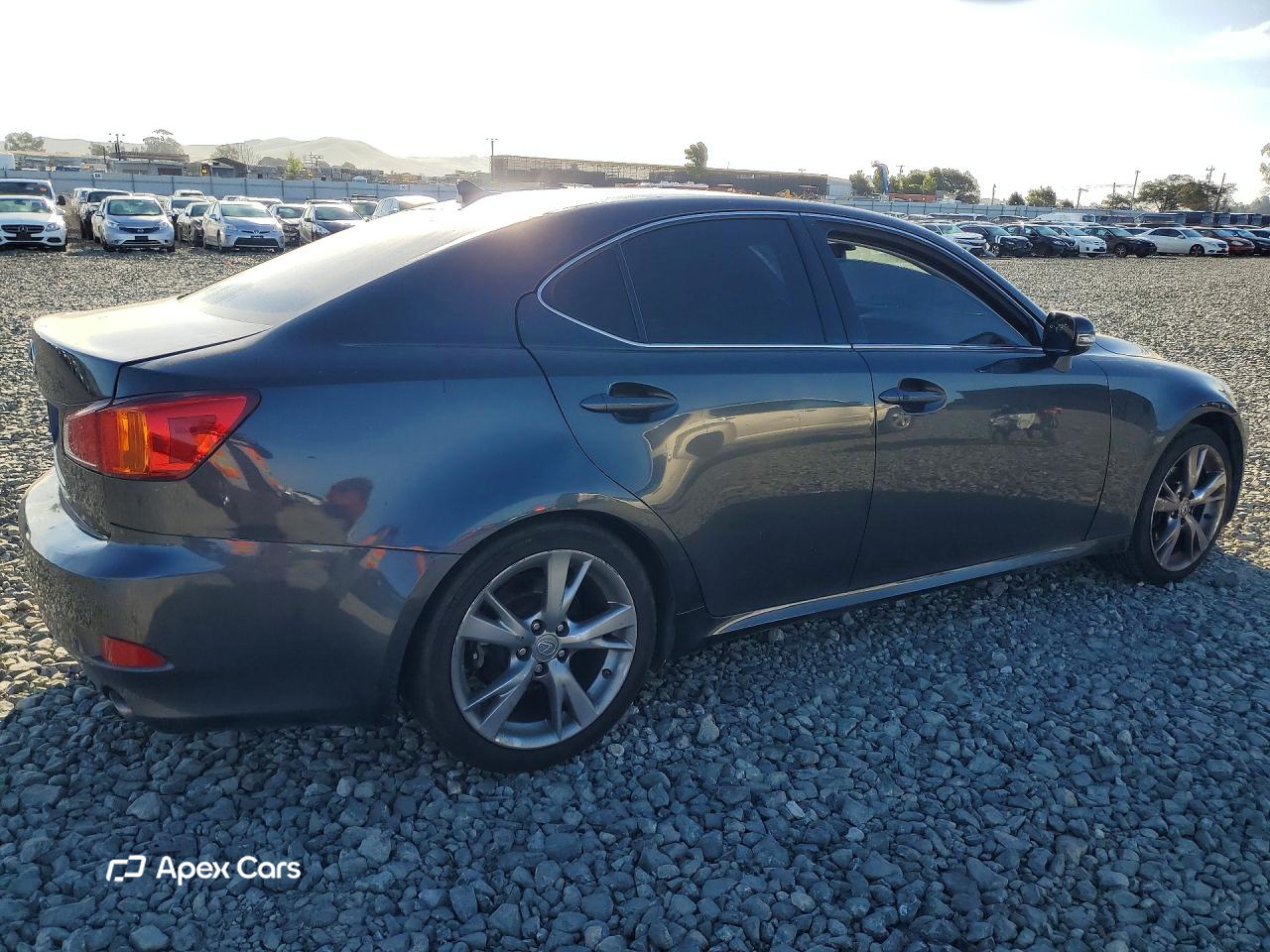 Lexus IS 2009
