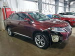 Lexus RX 2013