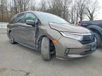 Honda Odyssey 2021