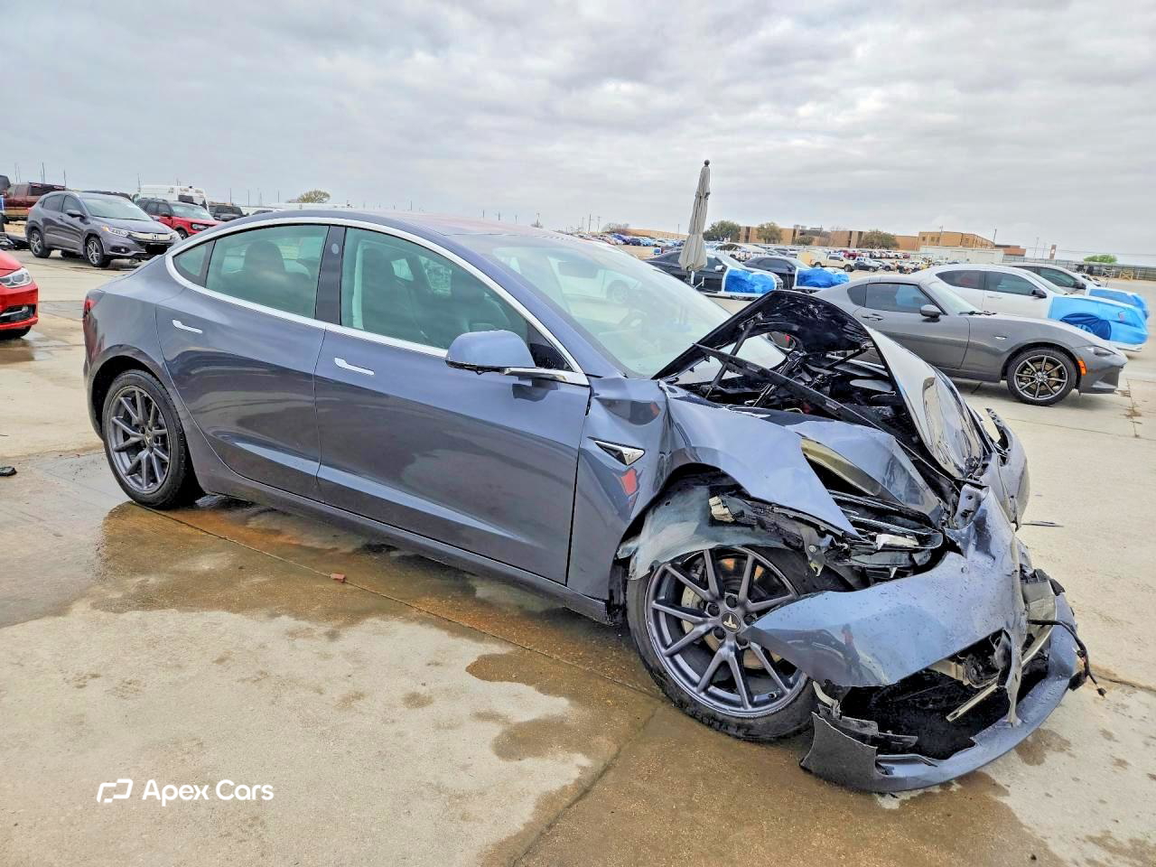 Tesla Model 3 2019