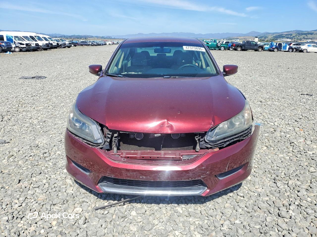 Honda Accord 2013