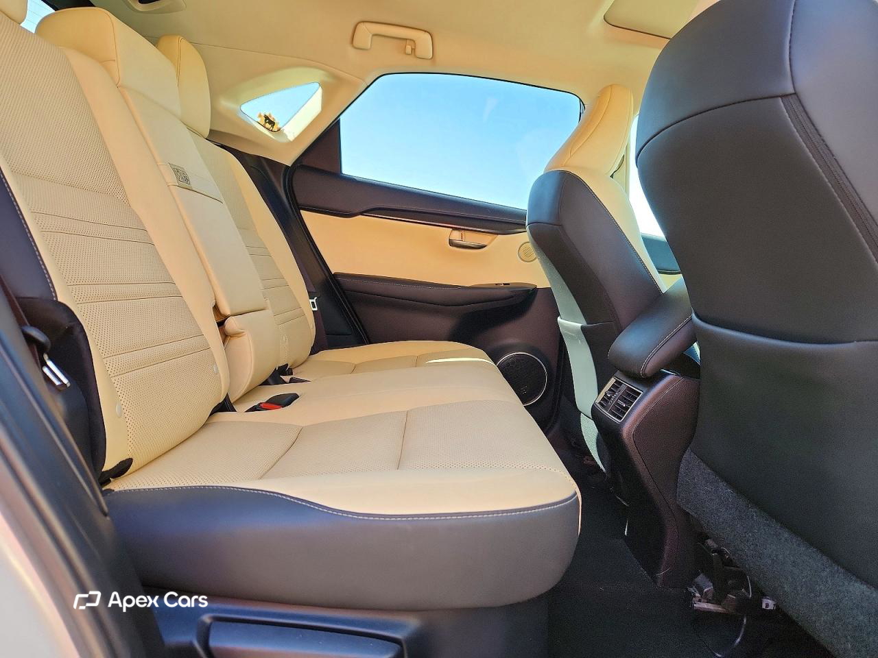 Lexus NX 2019