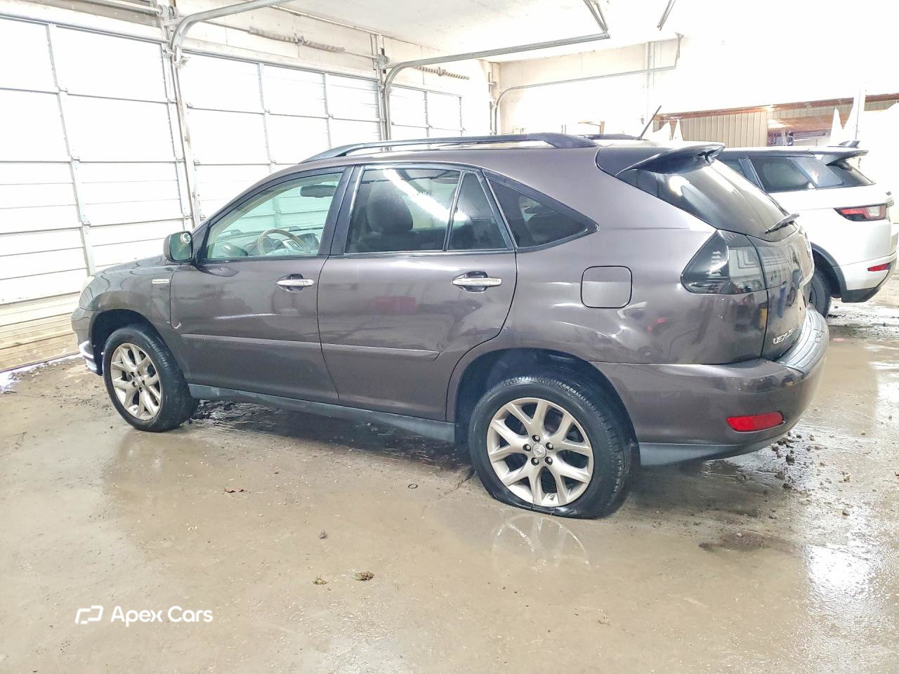 Lexus RX 2009