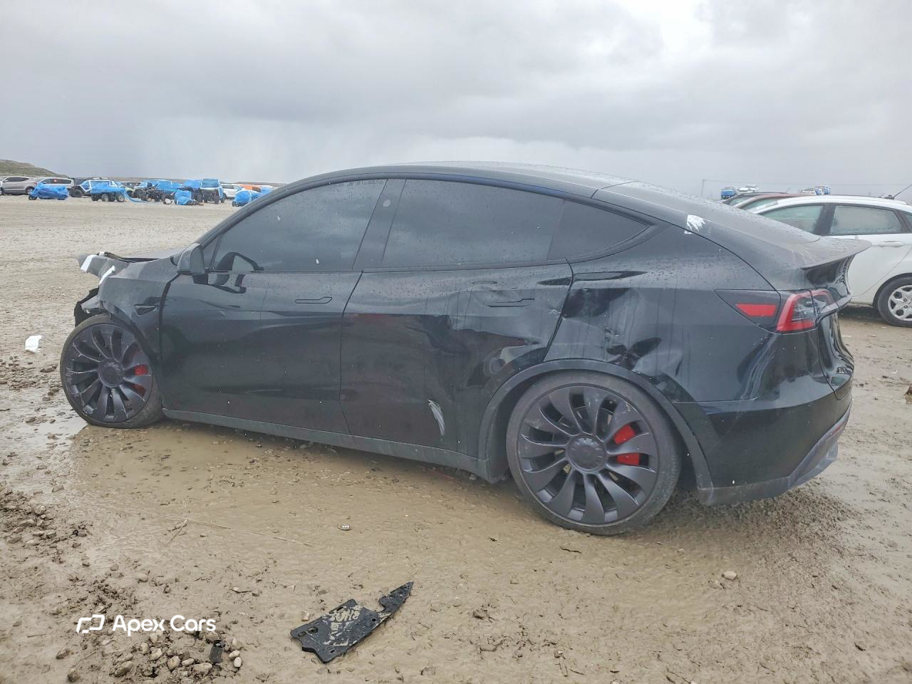 Tesla Model Y 2025