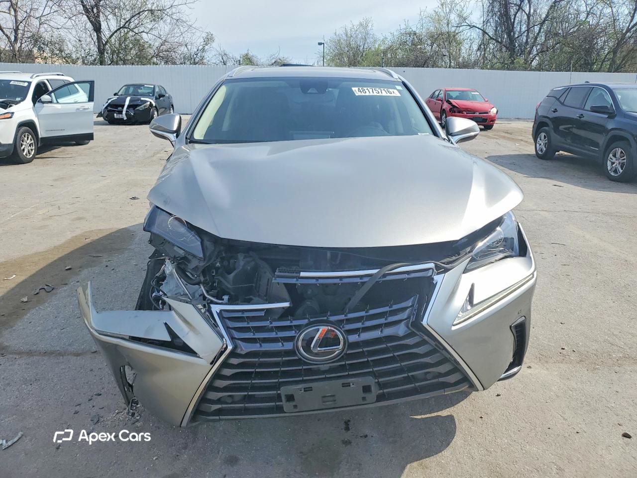 Lexus NX 2020