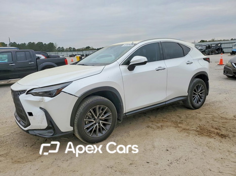 Lexus NX 2023 - Image 1 of 13