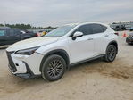 Lexus NX 2023