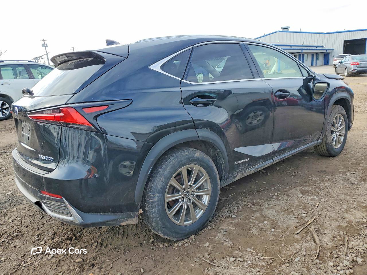 Lexus NX 2021