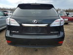 Lexus RX 2010