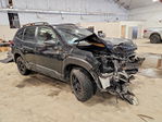 Subaru Forester 2024