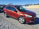 Ford Escape 2015