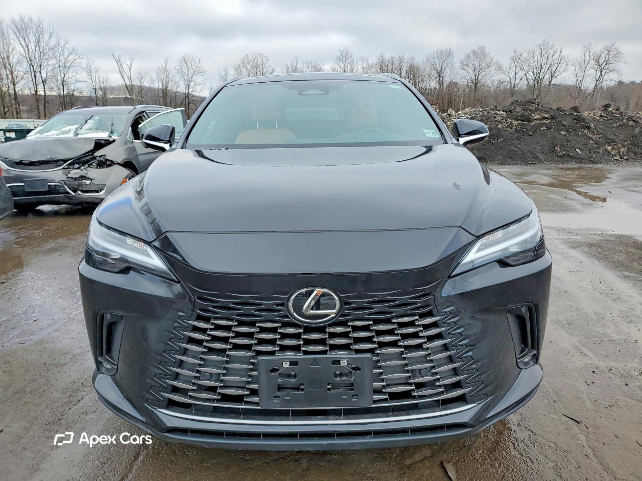 Lexus RX 2024