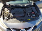 Nissan Maxima 2017