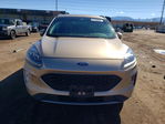 Ford Escape 2021
