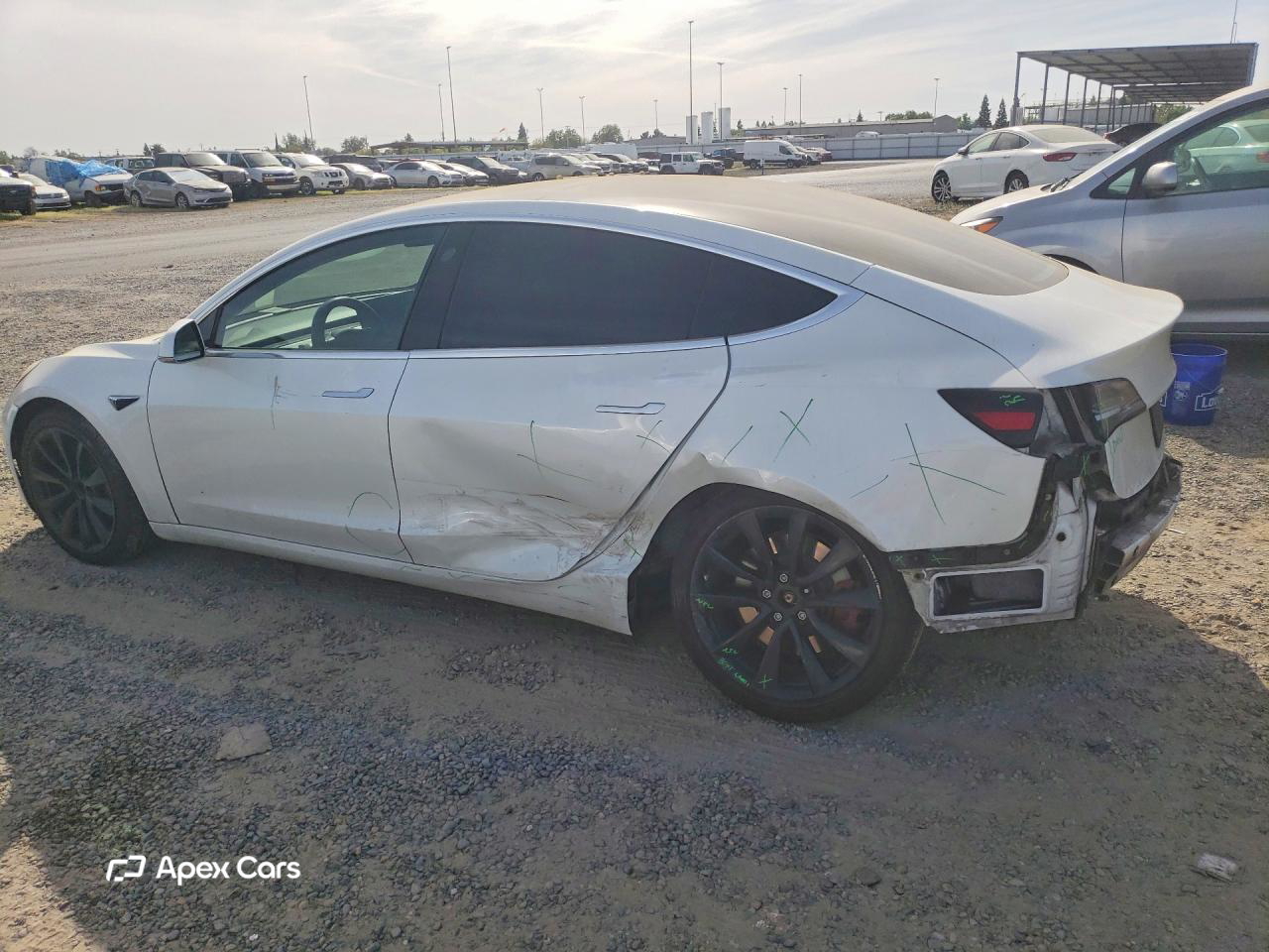 Tesla Model 3 2019