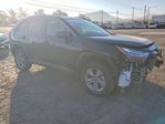 Toyota RAV 4 2024