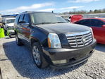 Escalade 2007