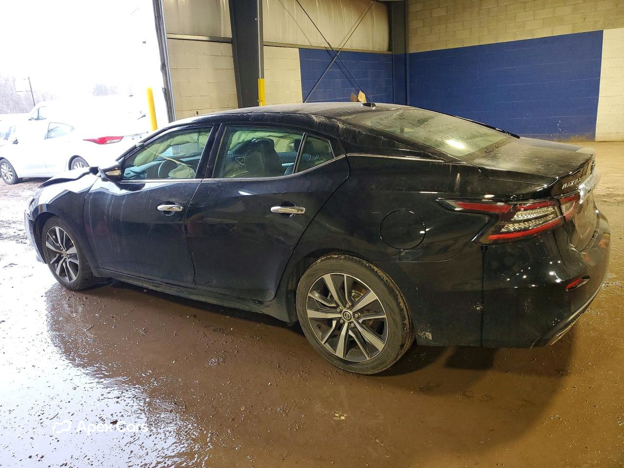 Nissan Maxima 2020