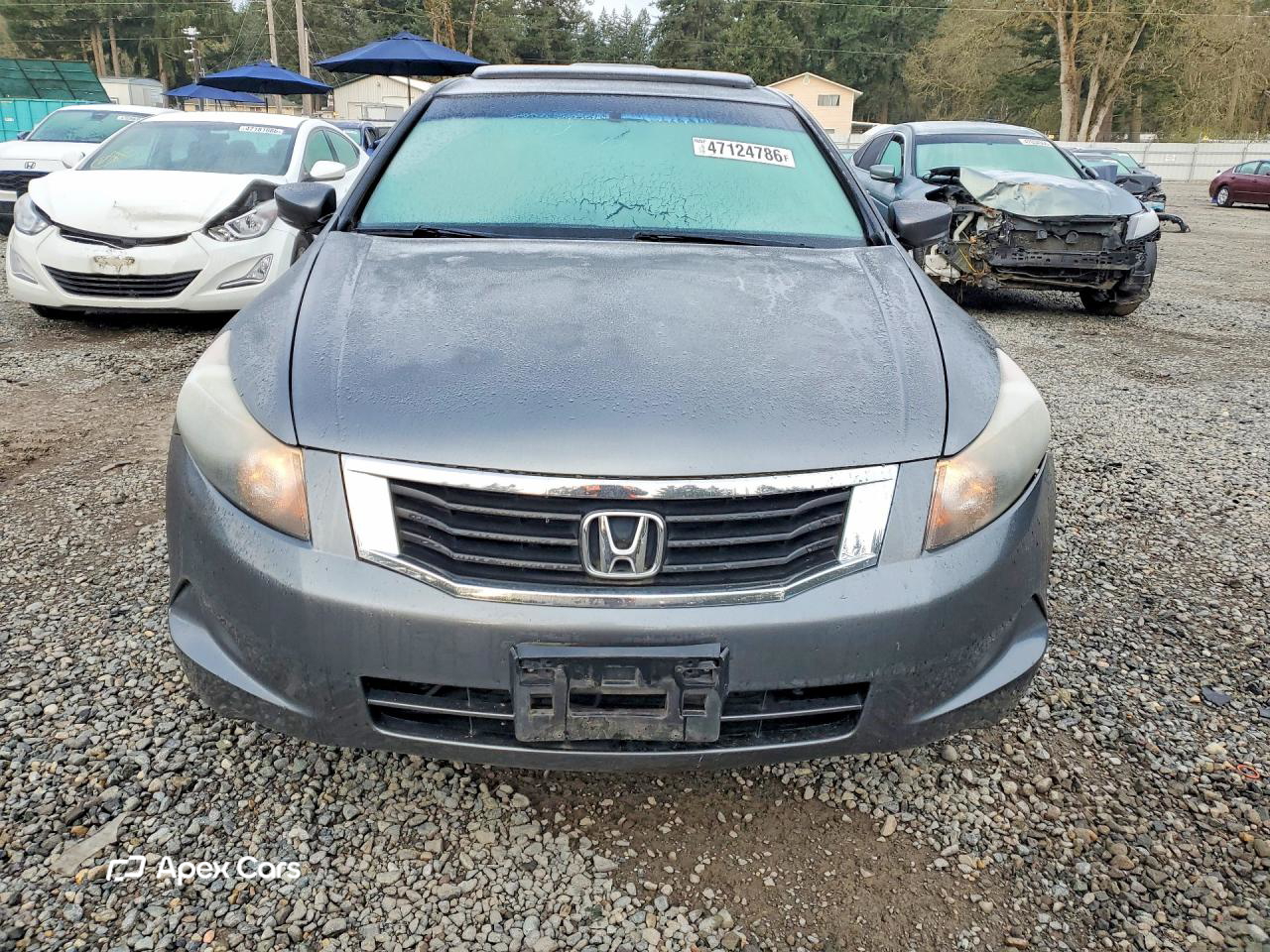 Honda Accord 2010