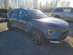 Kia Niro 2024