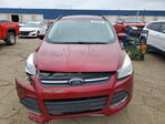 Ford Escape 2013