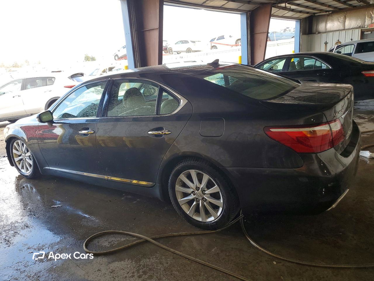 Lexus LS 2010