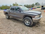 Dodge Dakota 2004