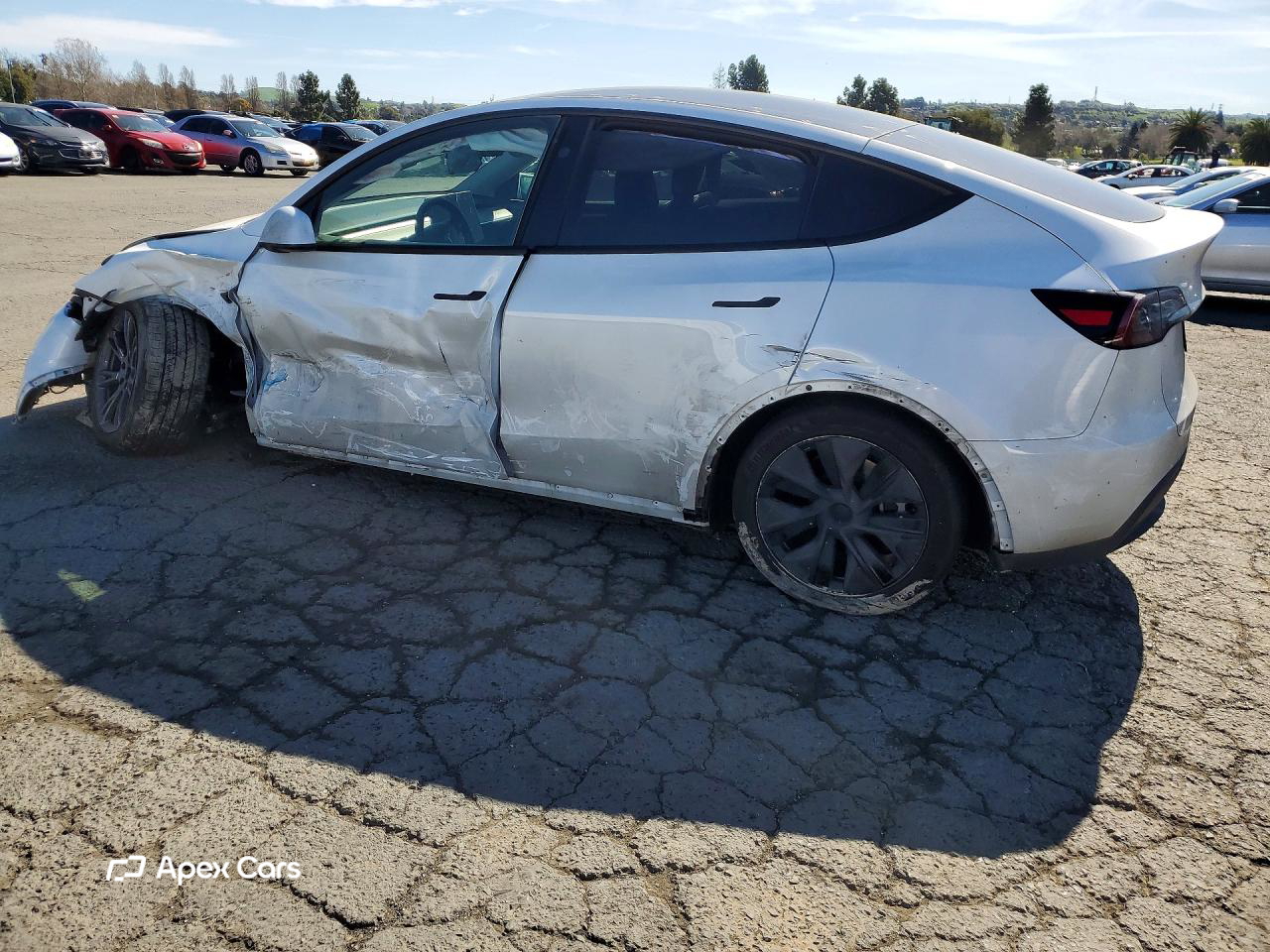 Tesla Model Y 2025