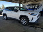 Toyota RAV 4 2024