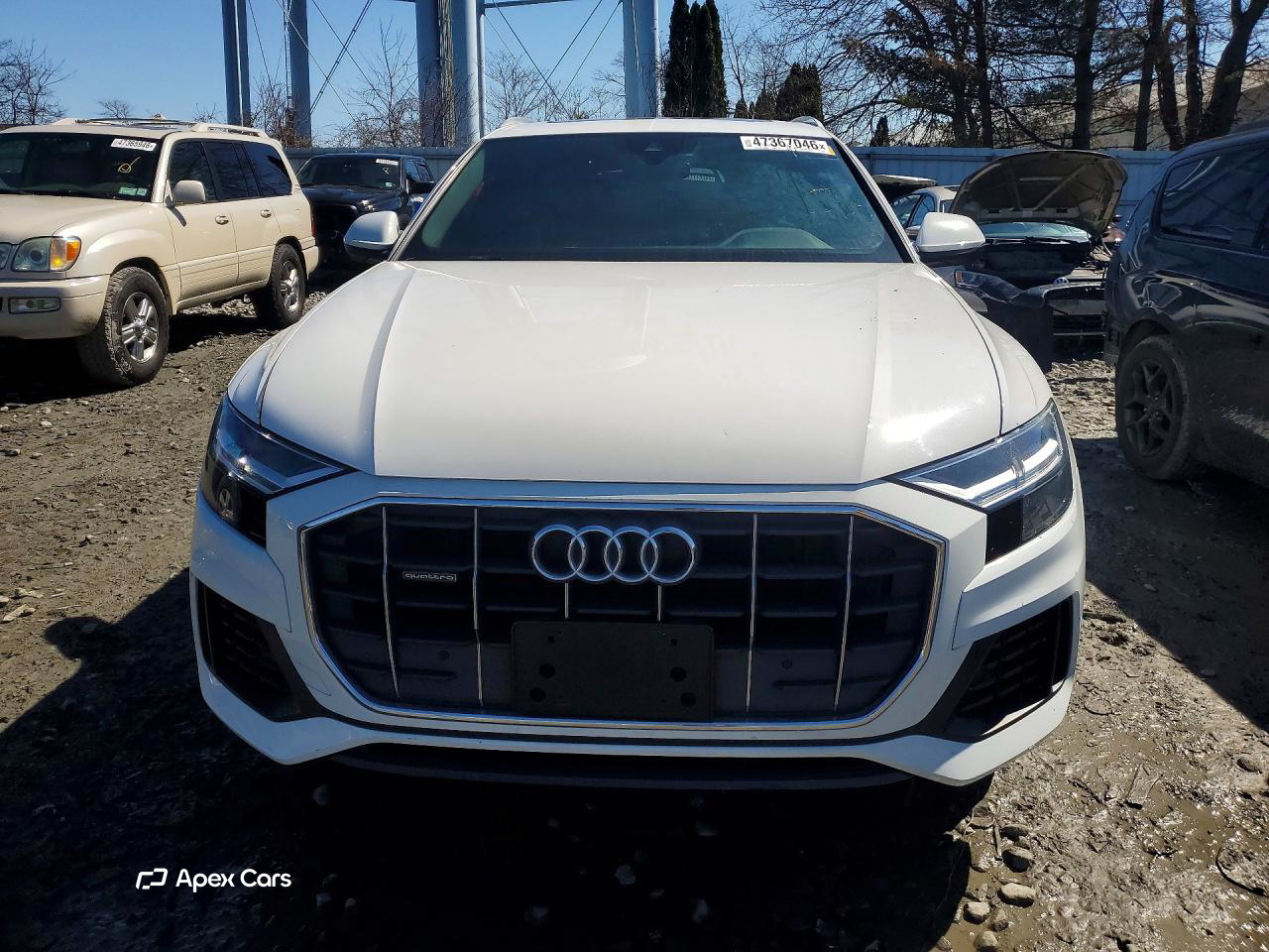 Audi Q8 2019
