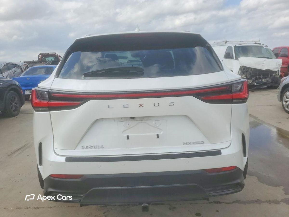 Lexus NX 2025